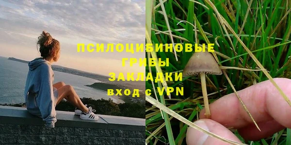ALPHA PVP Баксан